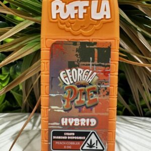 PuffLa Disposable