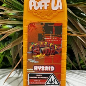 PuffLa Disposable