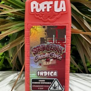 PuffLa Disposable